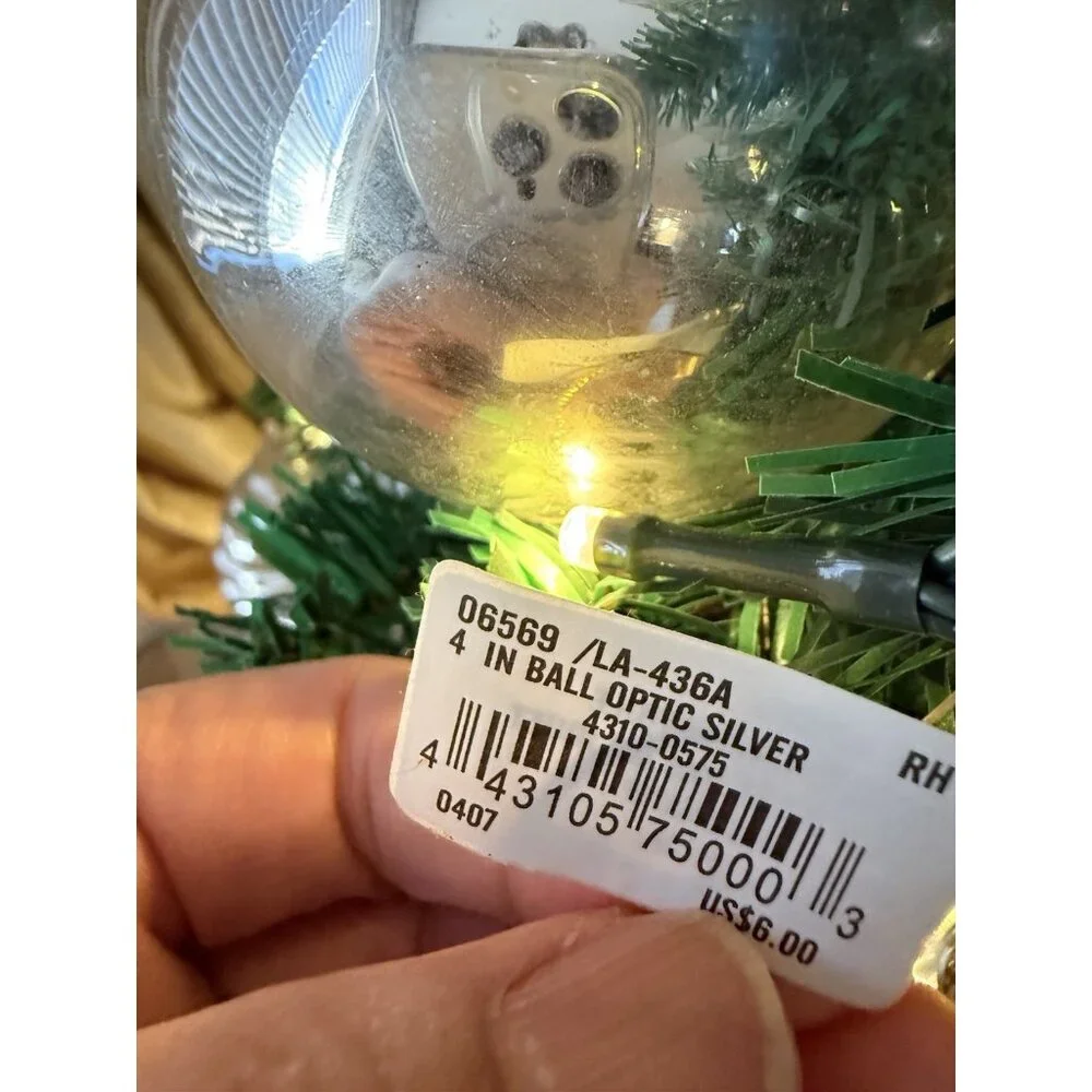 2 Restoration Hardware Optic Silver Ball Clear Glass Globe Christmas Ornaments L